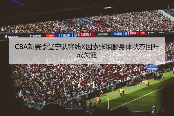 CBA新赛季辽宁队锋线X因素张镇麟身体状态回升成关键